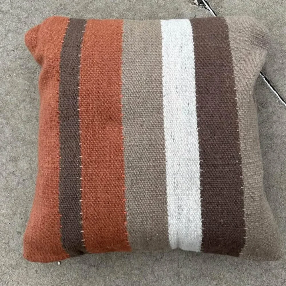 pottery barn 22” wool throw pillow cover with down insert
